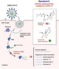 Blood tests may reveal the presence of. Effective Drugs Used To Combat Sars Cov 2 Infection And The Current Status Of Vaccines Biomedicine Pharmacotherapy X Mol