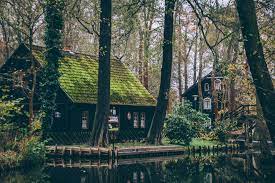 Wir servieren ihnen fischspezialitäten, wie den berühmten peitzer karpfen. Mehr Als Kahne Und Gurken Warum Der Spreewald Im Winter Das Perfekte Ziel Fur Einen Kurztrip Ist