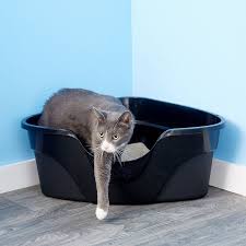 Nature S Miracle Just For Cats Advanced High Sided Corner Cat Litter Box Chewy Com In 2020 Best Litter Box Best Cat Litter Cat Litter Box