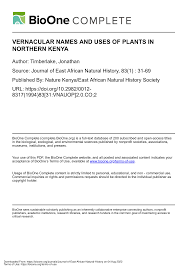 Image result for Celosia stuhlmanniana