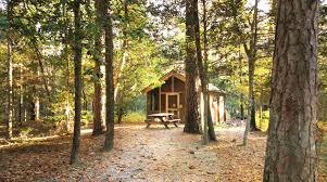 The closest campground to rehoboth beach. 5 Unique Camping Experiences In Delaware State Parks Destateparks Blog