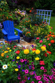 Beautiful Colors Of Annuals Dominate The Garden Backyard Flowers Garden Beautiful Flowers Garden Backyard Flowers