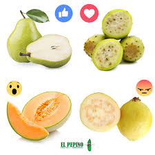 El pepino es fruta o verdura. Ya Elegiste Que Fruta De El Pepino Frutas Y Verduras Facebook