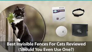 Looking for experienced contractors, to install invisible pet fence. Best Invisible Fences For Cats Reviewed Do They Even Work