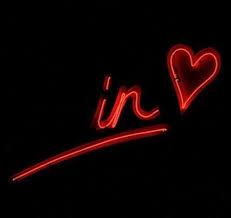 Apaixonado Neon Signs Neon Quotes Neon Words