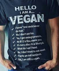 Hello I Am A Vegan Shirt Vegan Quotes Vegan Facts Vegan Shirt