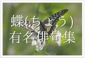 蝶の有名俳句 30選】春の季語!!羽ばたく姿が美しい蝶々に関する俳句を紹介 | 俳句の教科書｜俳句の作り方・有名俳句の解説サイト