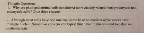 Maybe you would like to learn more about one of these? Thought Questions 1 Why Are Plant And Animal Cells Considered More Closely Related Than Prokaryotic And Homeworklib