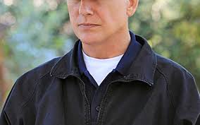 The real NCIS: Years of work, dogged investigations and no promise of  closure