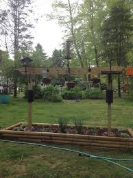 Wild Bird Feeding Station Ideas Best 25 Bird Feeding Station Ideas Backyard Birds Sanctuary Bird Garden Bird Feeding Station