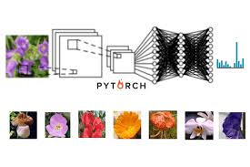 More experimentation needed to determine good values for smaller batch sizes and optimizers besides those in paper. A Beginner S Tutorial On Building An Ai Image Classifier Using Pytorch By Alexander Wu Towards Data Science