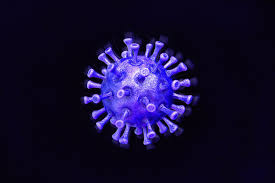 This subreddit seeks to monitor the spread of the. Coronavirus The Verge