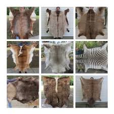 Skin is in—with animal hide's furniture. Real Animal Skins And Hides For Sale Wholesale At Worldwide Wildlife Products
