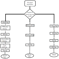 Processing Leaves For The Preparation Of Beverages
