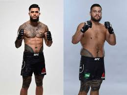 My bio been the same for like 10 years. The Best Tattoos In The Ufc Fight Quality