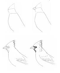 Pencil Easy Bird Drawing For Kids A Blog About Ideas For Art Classes And Art Projects For Kids K 8th Grade Bird Drawings Easy Drawings Art Drawings
