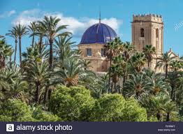 Mit der skyscanner hotelsuche findet ihr unterkünfte zu den am besten bewerteten, günstigsten hotels in elche gehören tryp ciudad de elche hotel, b&b hotel. Spanien Elche Palm Tree Spanien Unesco Welterbestatten Elche Spanien Basilica De Santa Maria Stockfotografie Alamy