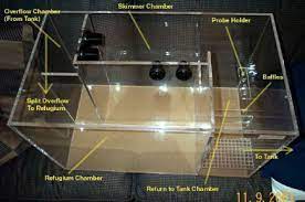 Everything You Always Wanted To Know About Sumps, Part Ii By Greg Taylor -  Reefkeeping.com