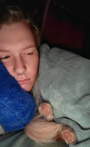 Otis disapproves of laying under the blanket in a normal way.