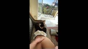 Katiana Kay Paris 400 Sextape Onlyfans - EPORNER