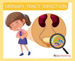 Fevers may accompany a uti and your child may have a reduced appetite. Increasing Risk Of Urinary Tract Infection In Kids Ezyschooling