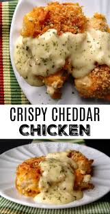 Crispy Cheddar Chicken Recipe Easy Chicken Recipes Chicken Dinner Recipes Chicken Recipes