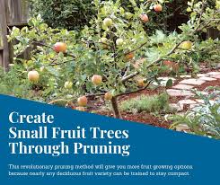 .landscaping fruit trees garden awesome garden home fruit trees compact garden fruit trees. Facebook