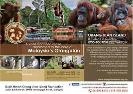Following the announcement of movement control order by the prime minister at 10pm on 16 march 2020, orang utan island foundation is temporarily closed starting tuesday 18 march 2020 until tuesday 31 march 2020.this is in line with precautionary measures by the malaysian government to mitigate the spread of. Bukit Merah Orang Utan Island Foundation Home Facebook