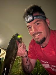 Bass baits color in drop shot