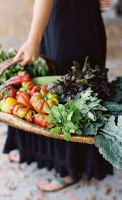 I See Beauty Around Me Farmers Market Fruits And Veggies Farmer
