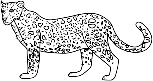 Animals (a to i) click on an animal below to get the printable version. Cheetah Printable Coloring Pages Coloring Home