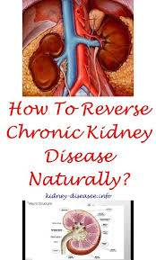 Kidney Health Truths About Organ Donation Kidney Disease Creatinine 7408441314 Kidney Failure Treatment Kidney Disease Awareness Kidney Disease Drinks