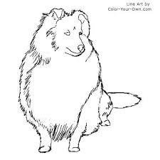 Shetland Sheepdog Coloring Page Shetland Sheepdog Shetland Sheepdog Blue Merle Dog Pattern