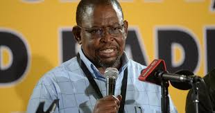 Recently he has been an internet sensation as he is appointed as the finance … South Africa Land Reform May Allow For Compensation In Certain Instances Enoch Godongwana Africanews