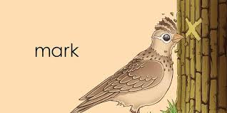 Lark : Bailey, Martin: Amazon.sg: Books