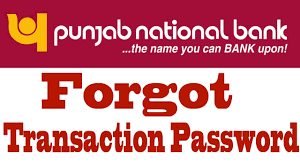 Reset Transaction Password Of Pnb Internet Banking Youtube