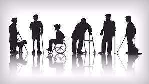 Cambiar la Constitución para eliminar el término 'disminuido', reto de la  discapacidad en 2023