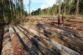 Pin On Natural Resources