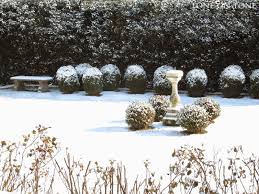 Tone On Tone Winter White Winter Garden Landscaping Around House Most Beautiful Gardens