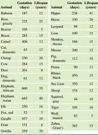 solved animal gestation periods the accompanying table