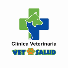CONSULTORIO VETERINARIO VETSALUD