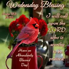 We did not find results for: Daily Blessing Quotes Wednesday Daily Blessings Pictures Photos Images And Pics For Facebook Dogtrainingobedienceschool Com