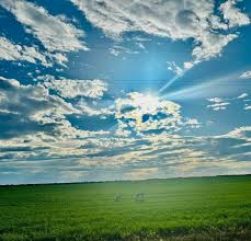 DEVON — TOOLE COUNTY