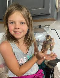 US American Princess