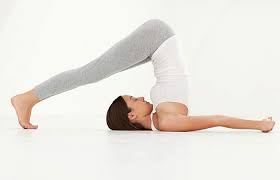 Top 10 Yoga Poses To Improve Your Memory Yoga Poses Yoga Asanas Ashtanga Yoga