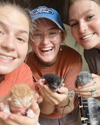 Alyssa Agee's Instagram, Twitter & Facebook