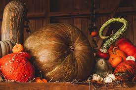 Check spelling or type a new query. Come Scegliere E Conservare La Zucca Il Cucchiaio Verde