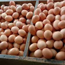 Maybe you would like to learn more about one of these? Telur Ayam Negri Fresh Sumatera 15kg Shopee Indonesia