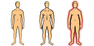 What Body Type Are You The Endomorph Weightplan Com Weightplan Com Free Calorie Counter Diet Exercise Tracker Endomorph diet for weight loss | the definitive guide. what body type are you the endomorph