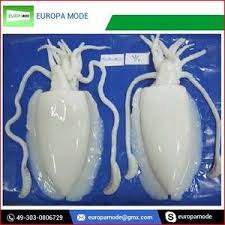 It is truly one of the most versatile and tasty of all seafood. Frozen Skinless Cuttlefish Fresh Cuttlefish Whole Cleaned Frozen Cuttlefish Whole Round